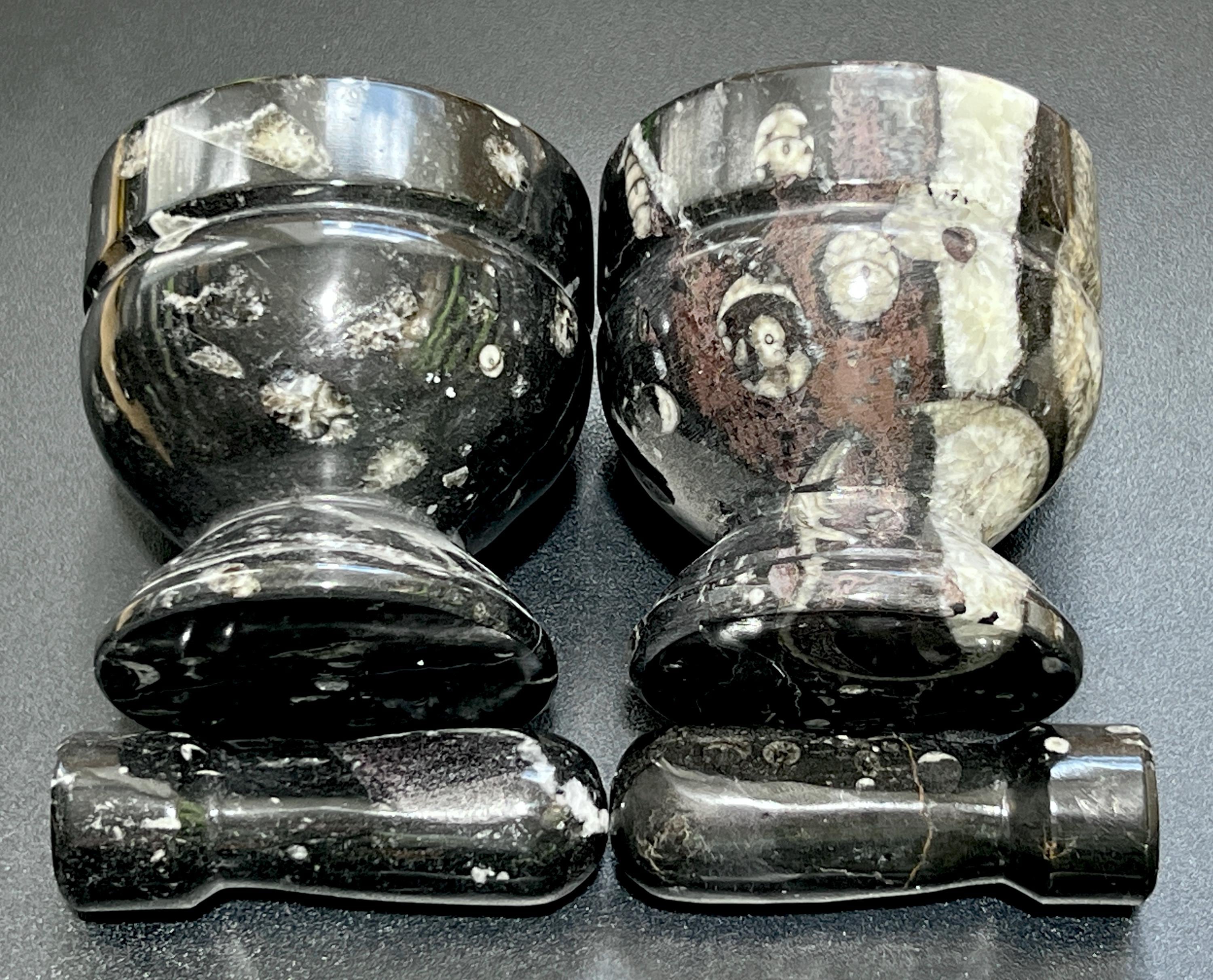 Orthoceras Mortar and Pestle Set