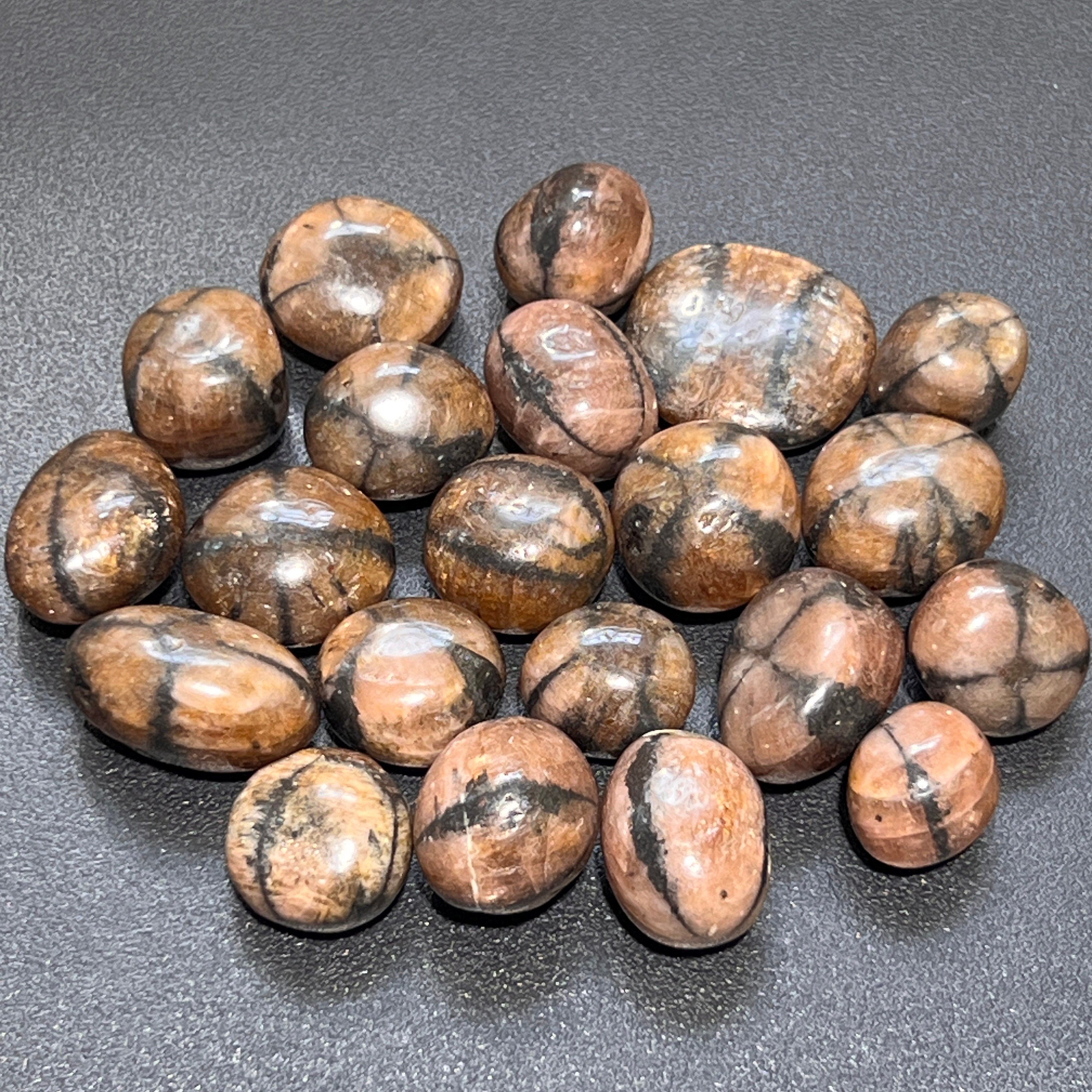 Chiastolite (Fairy Cross Stone) Tumbled Stones (Extra Quality Premium)