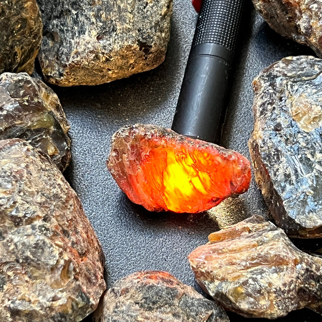 Black Amber Fossilized Tree Resin Raw Stones Mixed Sizes (UV Reactive)