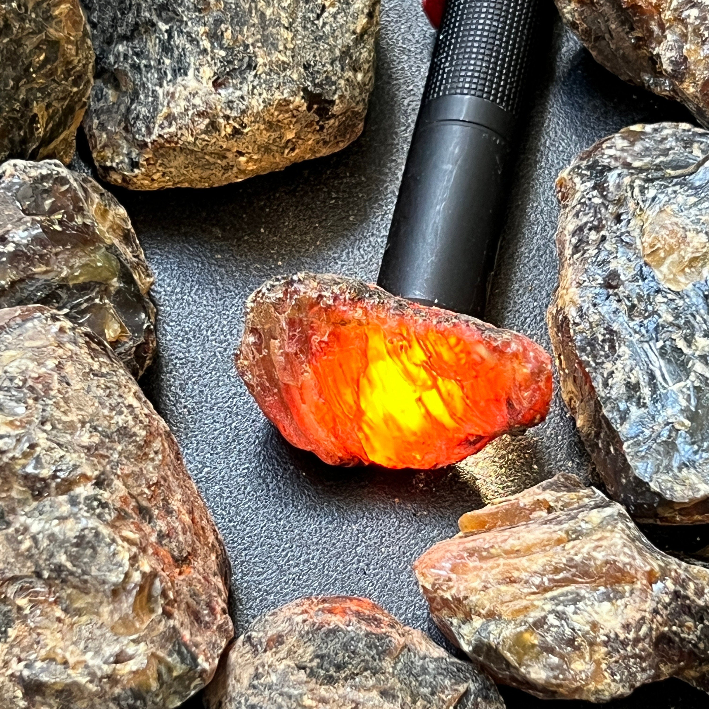 Black Amber Fossilized Tree Resin Raw Stones Mixed Sizes (UV Reactive)
