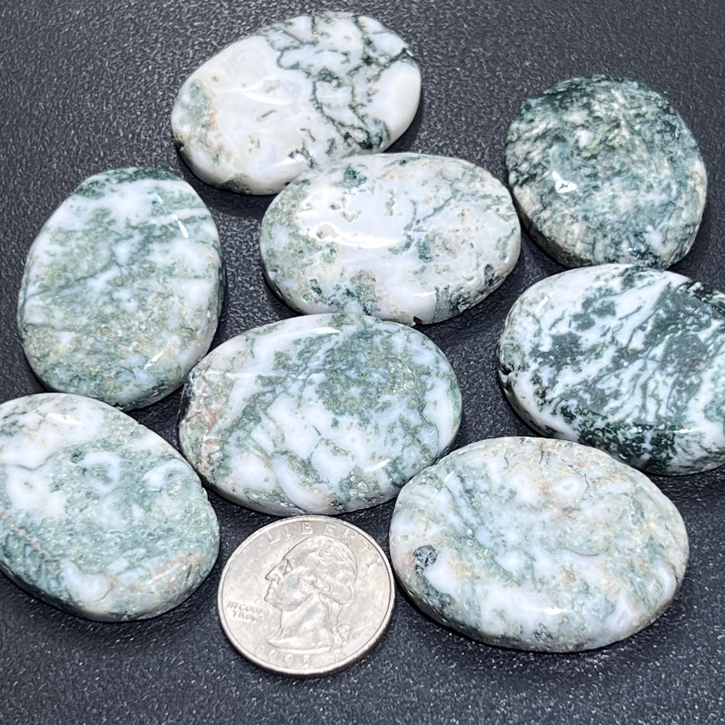 Tree Agate Cabochons Mixed Shapes And Sizes