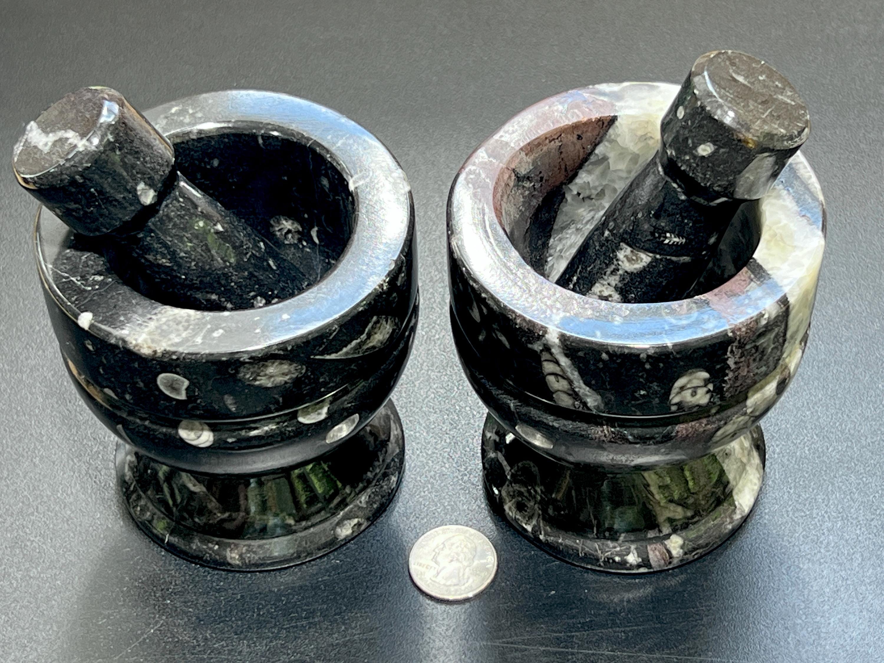 Orthoceras Mortar and Pestle Set