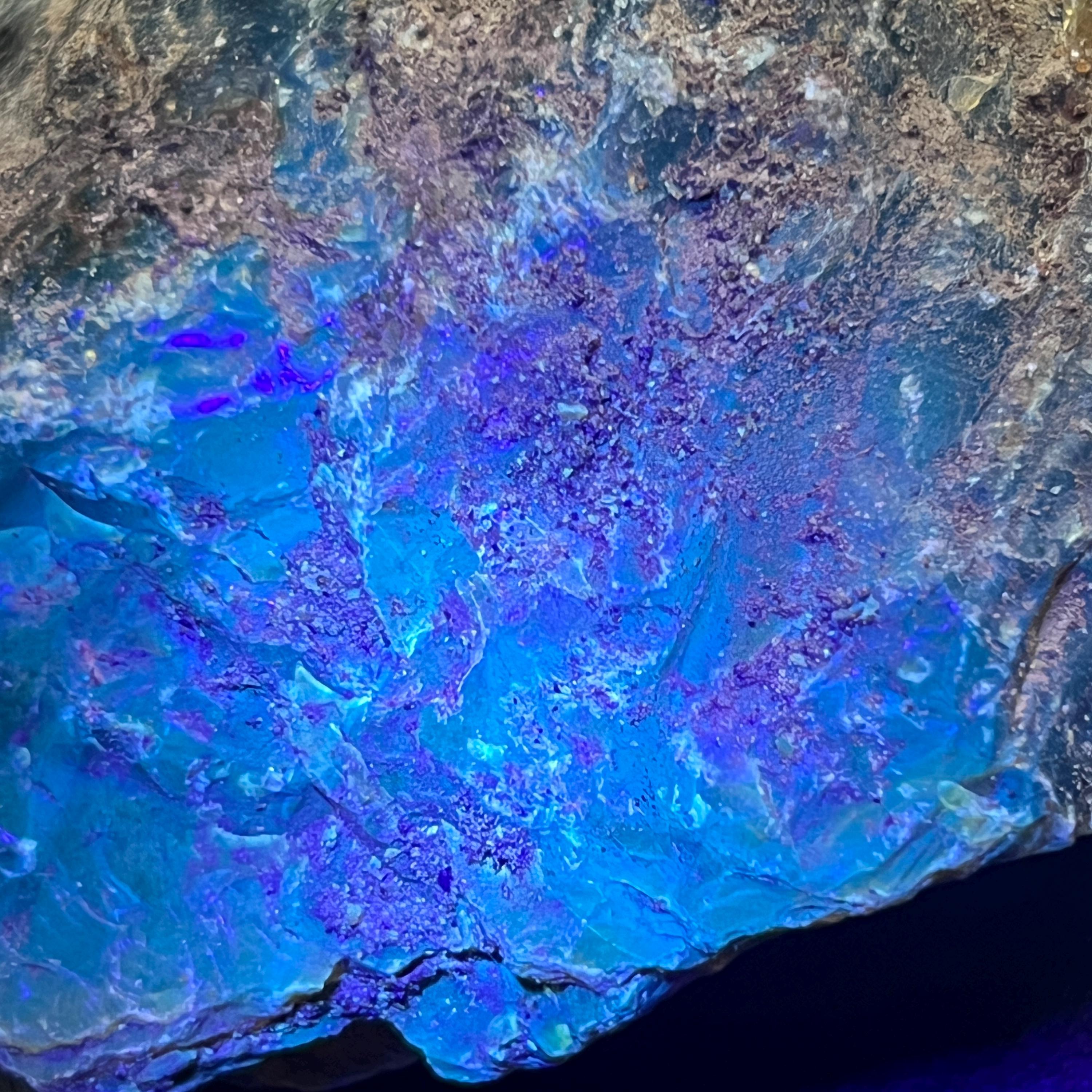 Black Amber (Fossilized Tree Resin) Raw Large Boulders (UV Reactive)