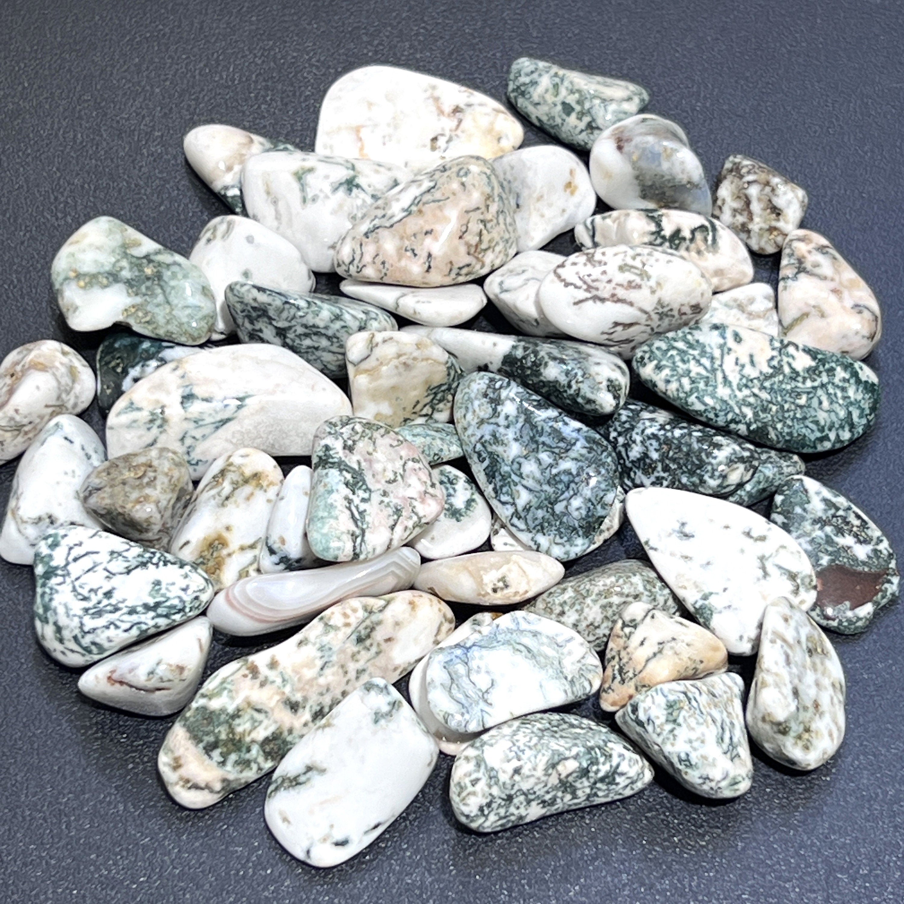 Tree Agate Tumbled Stones