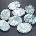 Tree Agate Cabochons Mixed Shapes And Sizes