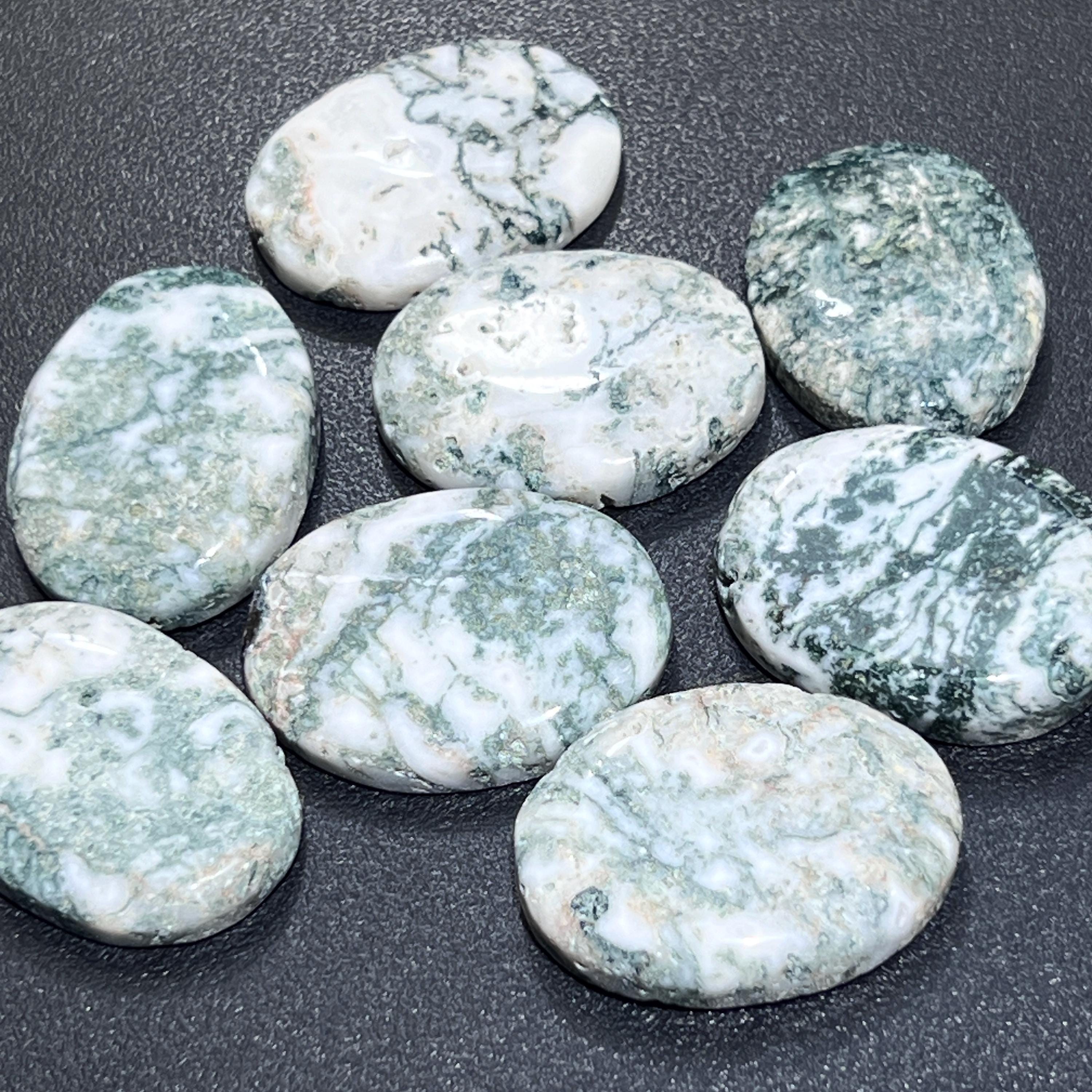 Tree Agate Cabochons Mixed Shapes And Sizes