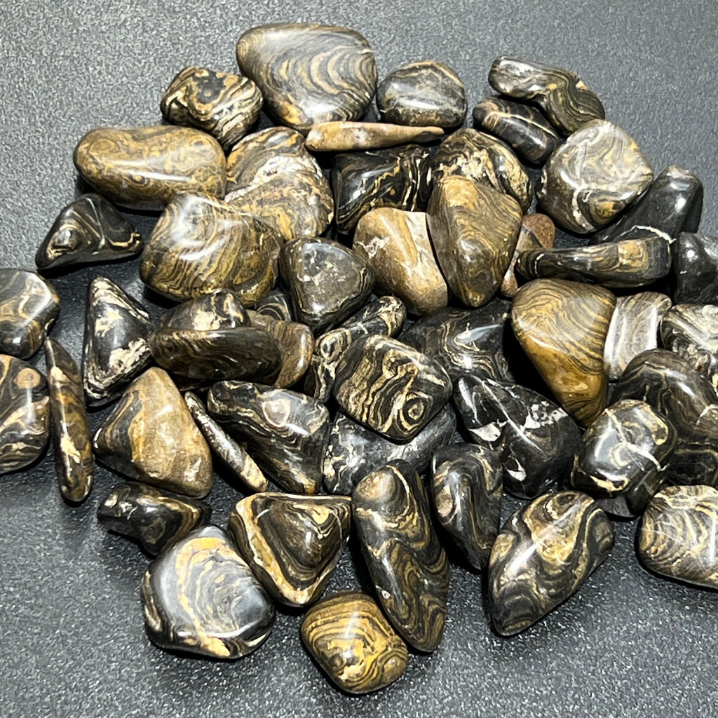 Stromatolite Fossil Tumbled Stones