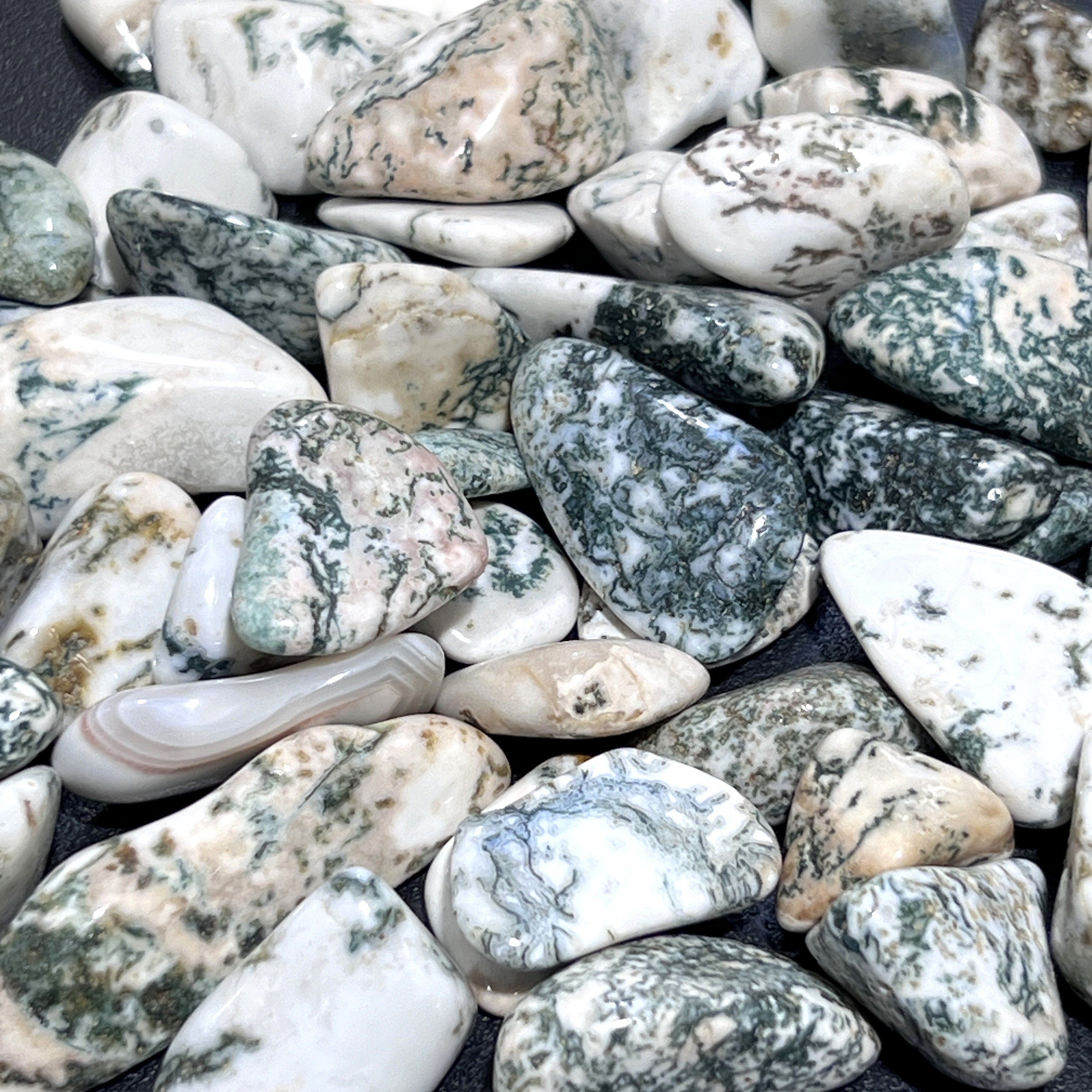 Tree Agate Tumbled Stones