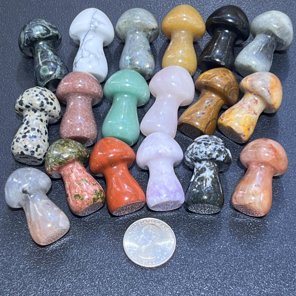Mushrooms Assorted Mixed Crystal Mineral Gemstone Carvings