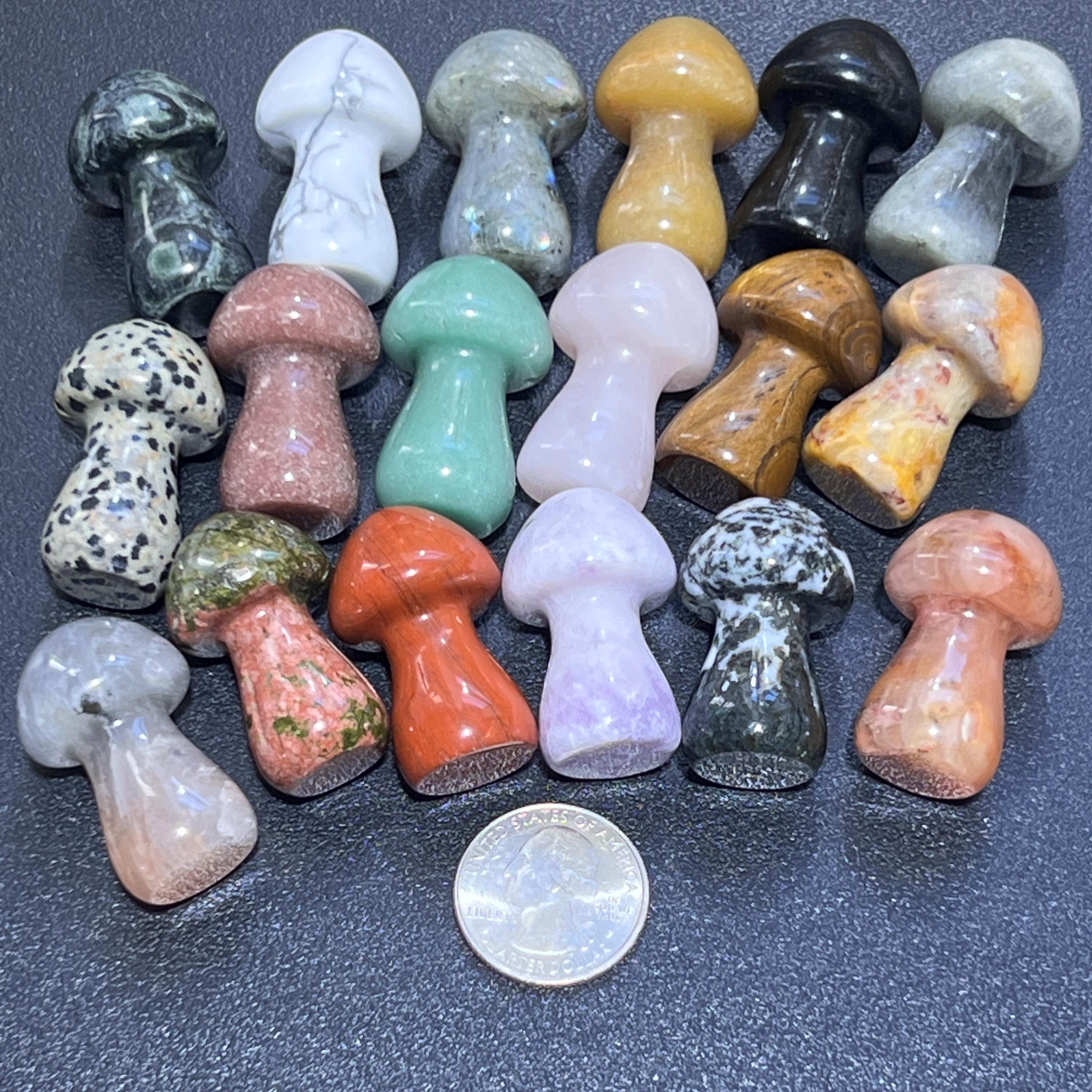 Mushrooms Assorted Mixed Crystal Mineral Gemstone Carvings