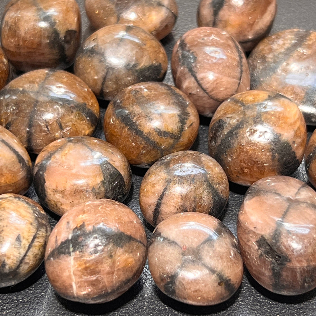 Chiastolite (Fairy Cross Stone) Tumbled Stones (Extra Quality Premium)