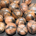 Chiastolite (Fairy Cross Stone) Tumbled Stones (Extra Quality Premium)