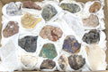 Morocco Mixed Minerals Druzy Crystal Collection Large Boxed Flat