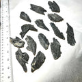 Black Kyanite Rough