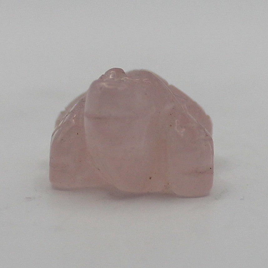 Mini Crystal Alligator