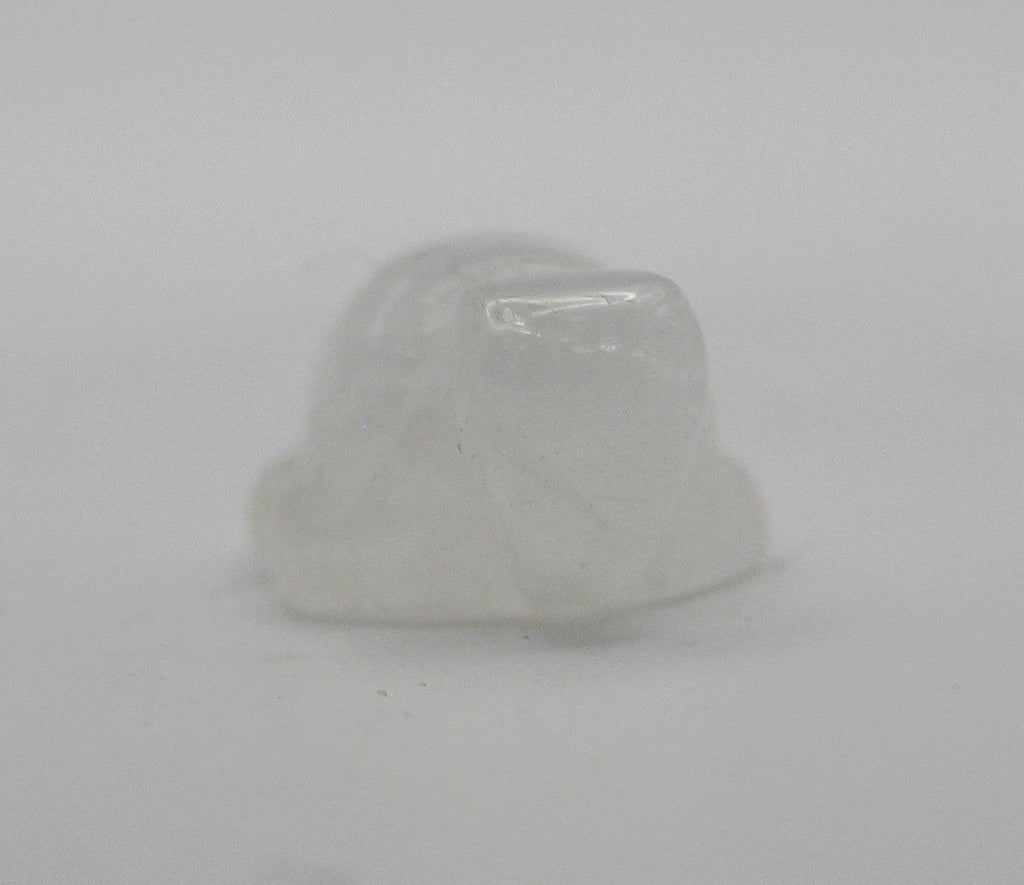 Mini Crystal Turtle