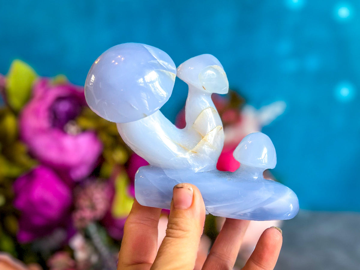 Beautiful 5" Blue Chalcedony MUSHROOM Sculpture