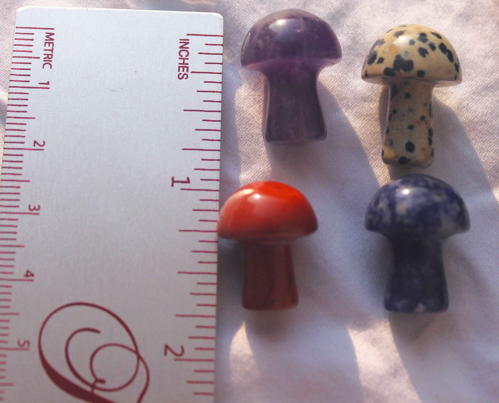 Mini Mushrooms