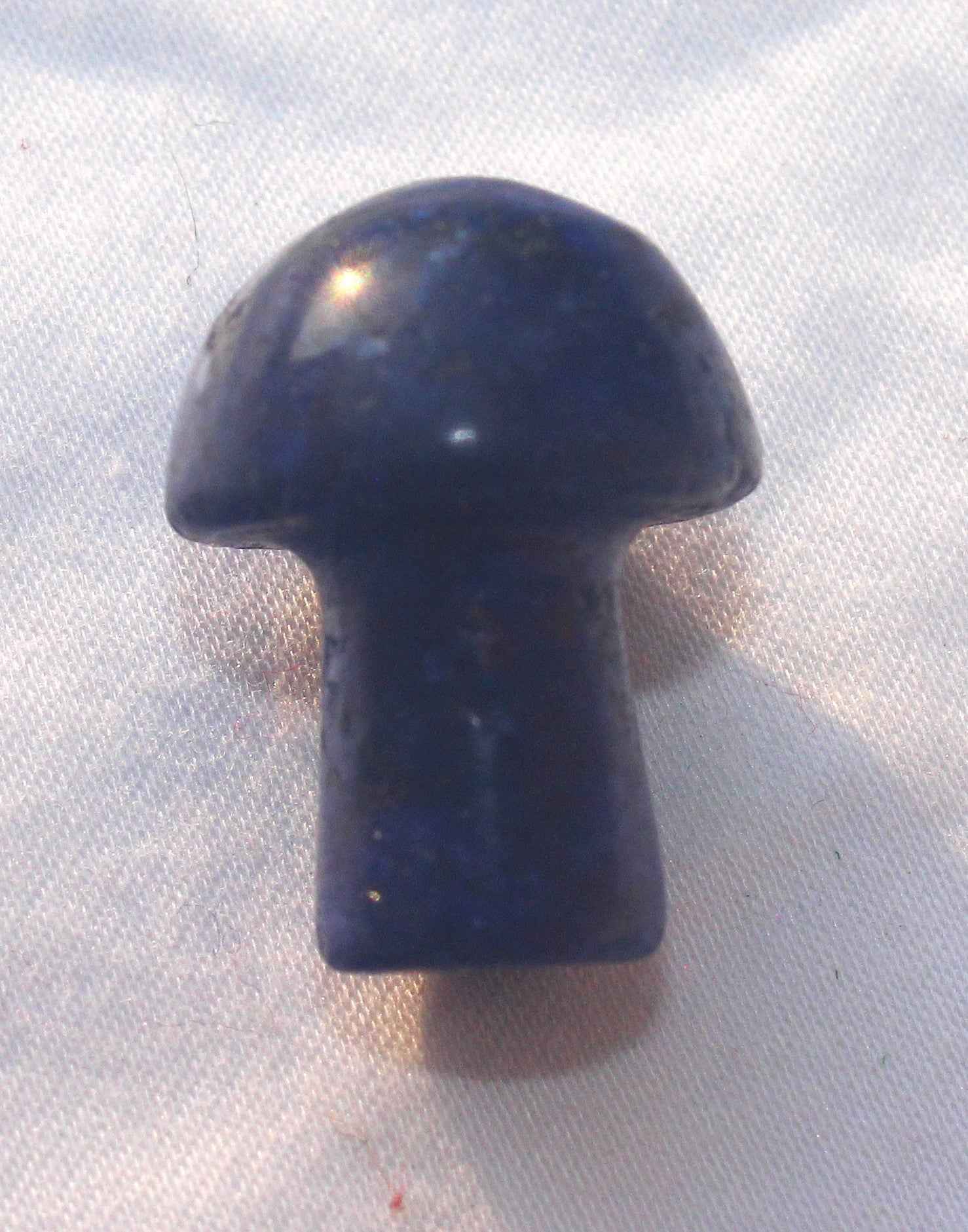 Mini Mushrooms