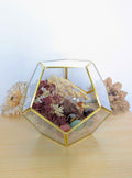 Crystal Geode Terrarium Hematoid Quartz - Grounded Garden
