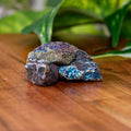Peacock Ore Raw