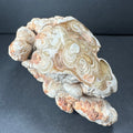 Cave Onyx Stalactite Kokoweef Cavern, Calico California