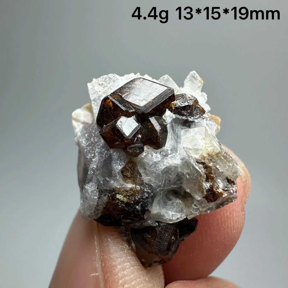 Andradite Garnet Cluster Raw Crystal Mineral Specimen in Calcite Matrix