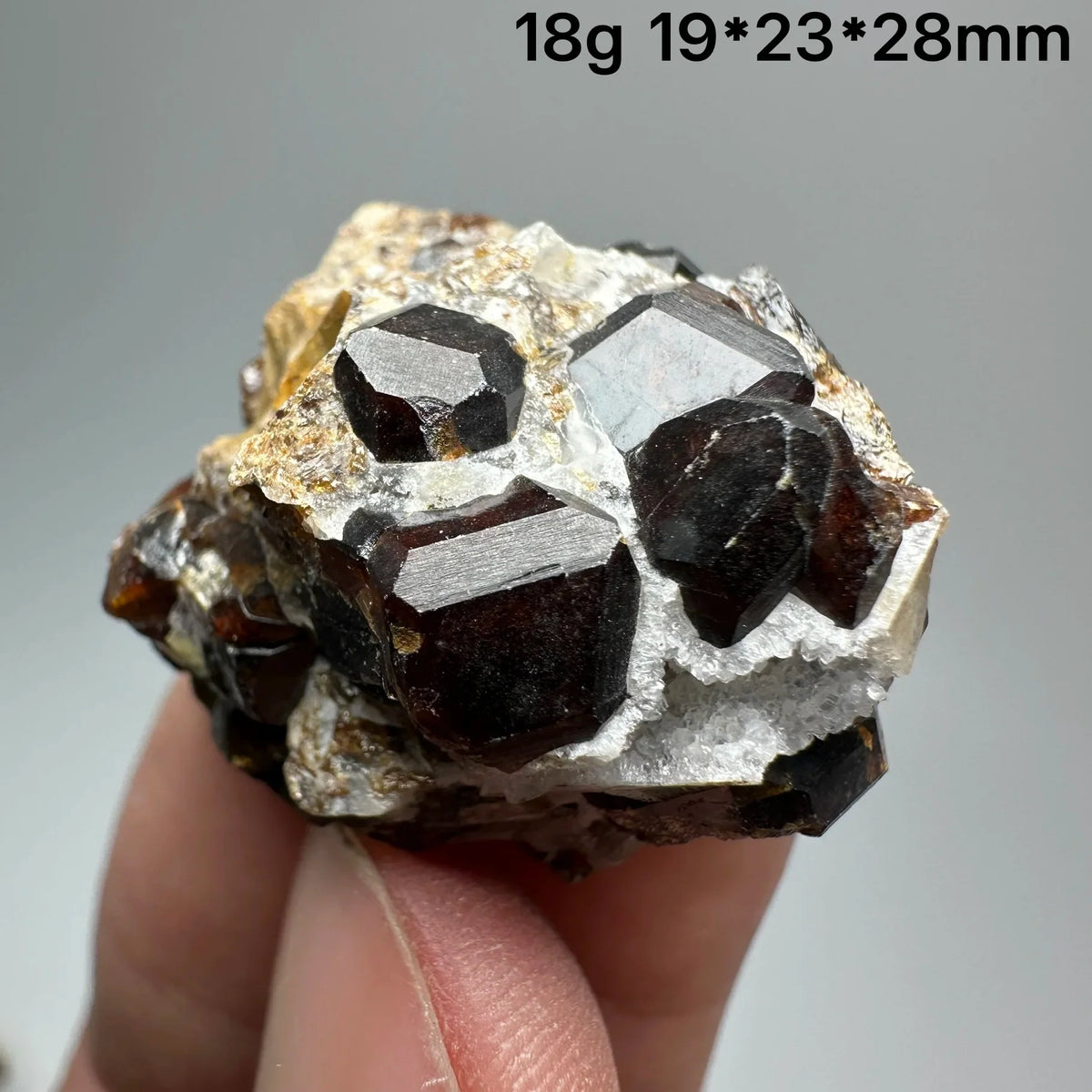 Andradite Garnet Cluster Raw Crystal Mineral Specimen in Calcite Matrix