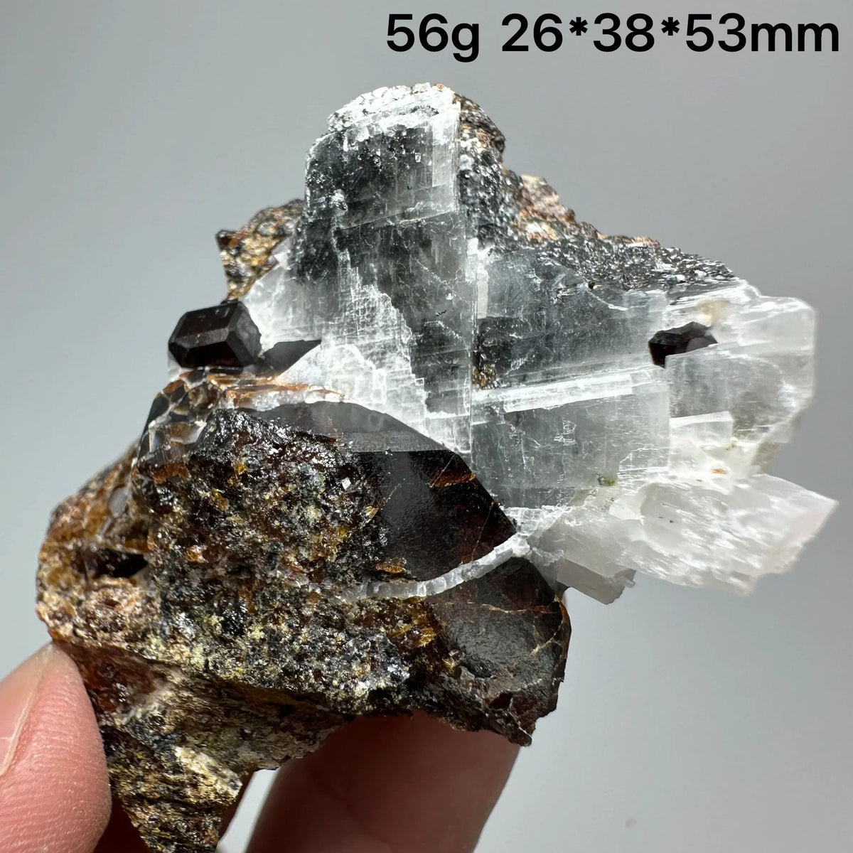 Andradite Garnet Cluster Raw Crystal Mineral Specimen in Calcite Matrix
