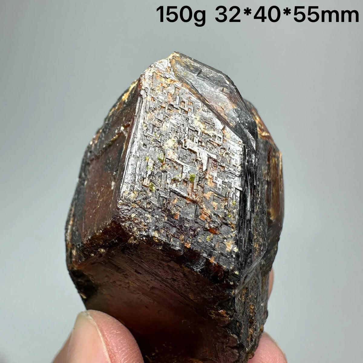 Andradite Garnet Cluster Raw Crystal Mineral Specimen in Calcite Matrix
