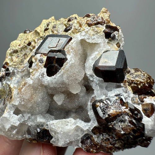 Andradite Garnet Cluster Raw Crystal Mineral Specimen in Calcite Matrix