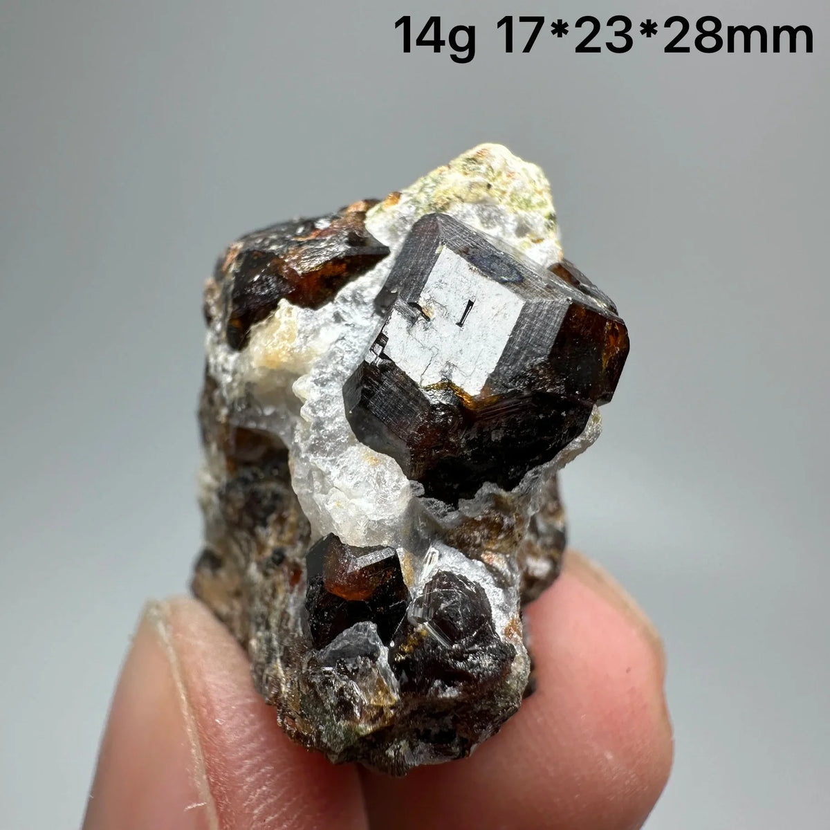 Andradite Garnet Cluster Raw Crystal Mineral Specimen in Calcite Matrix
