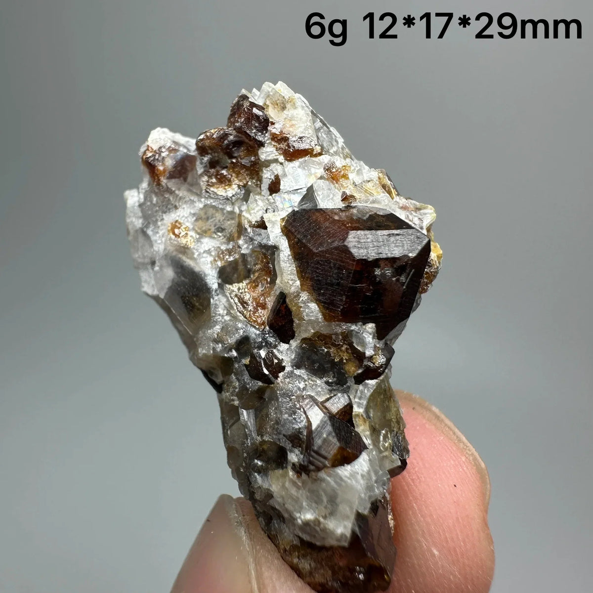 Andradite Garnet Cluster Raw Crystal Mineral Specimen in Calcite Matrix