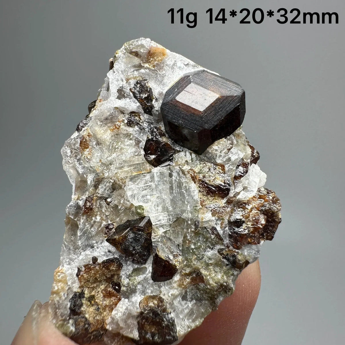 Andradite Garnet Cluster Raw Crystal Mineral Specimen in Calcite Matrix