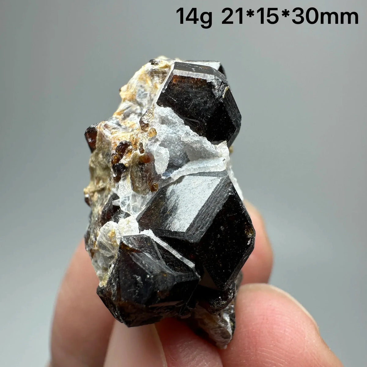 Andradite Garnet Cluster Raw Crystal Mineral Specimen in Calcite Matrix