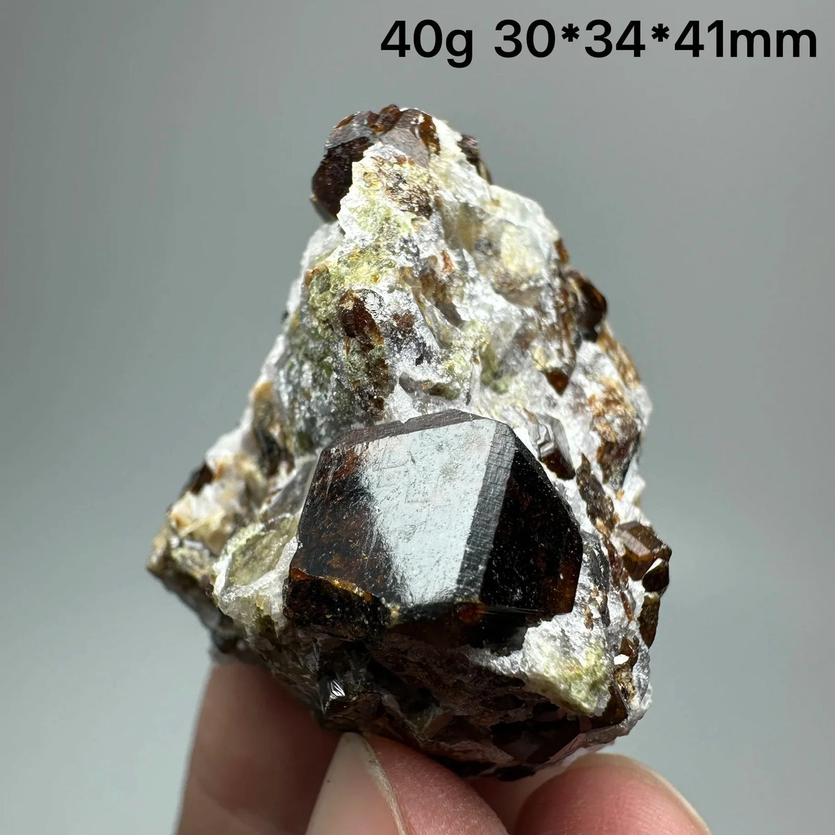 Andradite Garnet Cluster Raw Crystal Mineral Specimen in Calcite Matrix