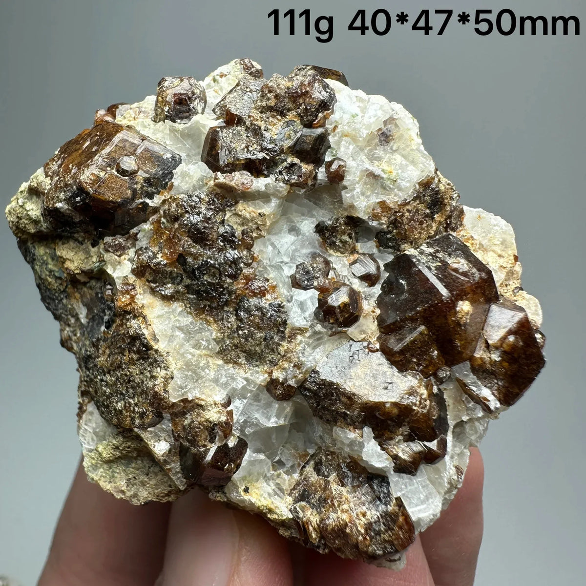 Andradite Garnet Cluster Raw Crystal Mineral Specimen in Calcite Matrix
