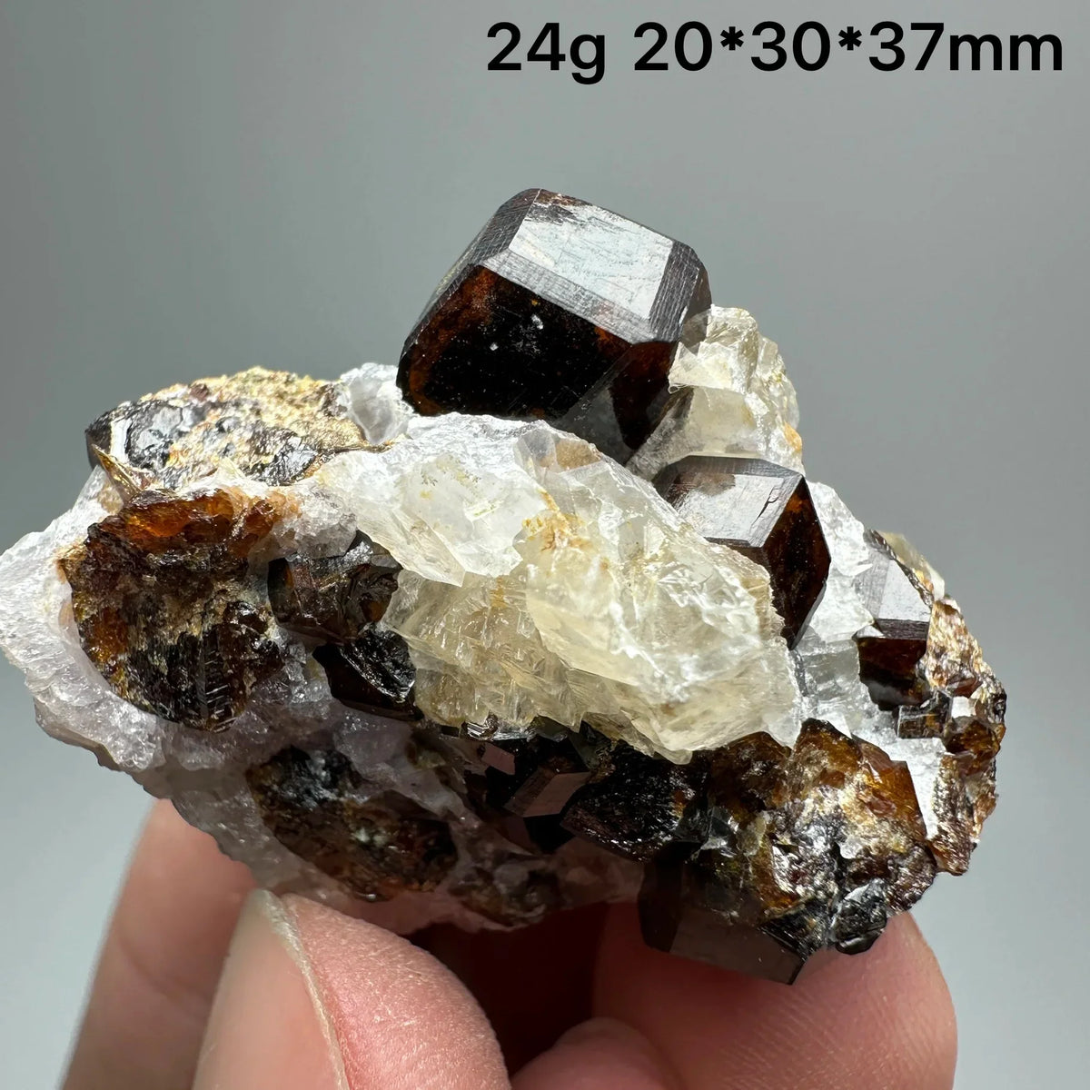 Andradite Garnet Cluster Raw Crystal Mineral Specimen in Calcite Matrix