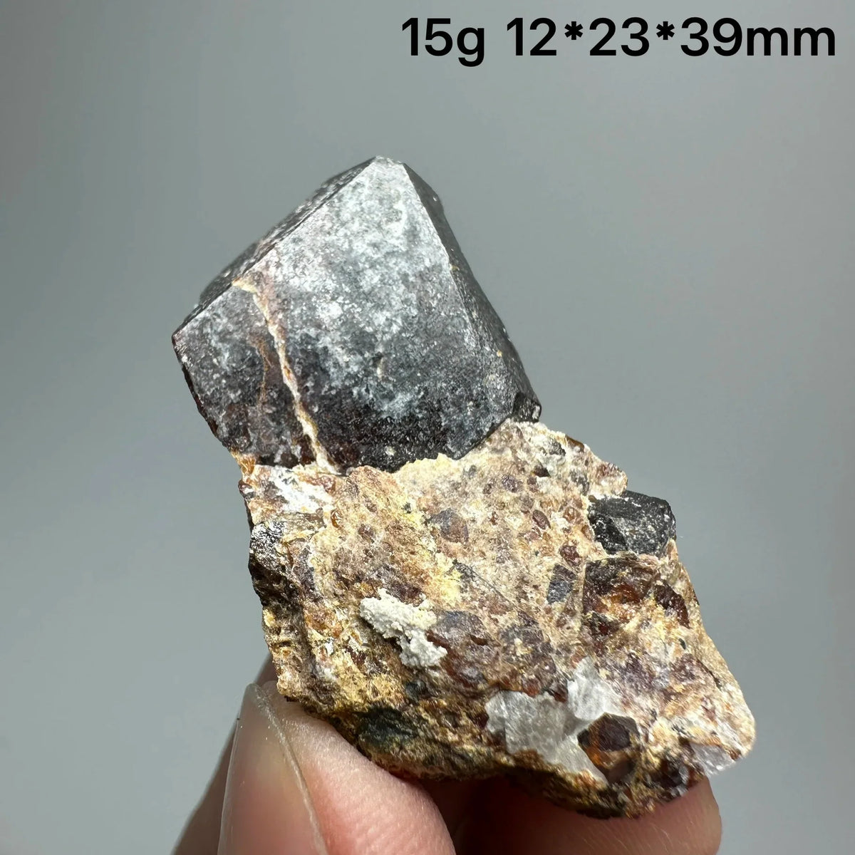 Andradite Garnet Cluster Raw Crystal Mineral Specimen in Calcite Matrix