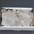 Clear Quartz Crystal Points Boxed Flat