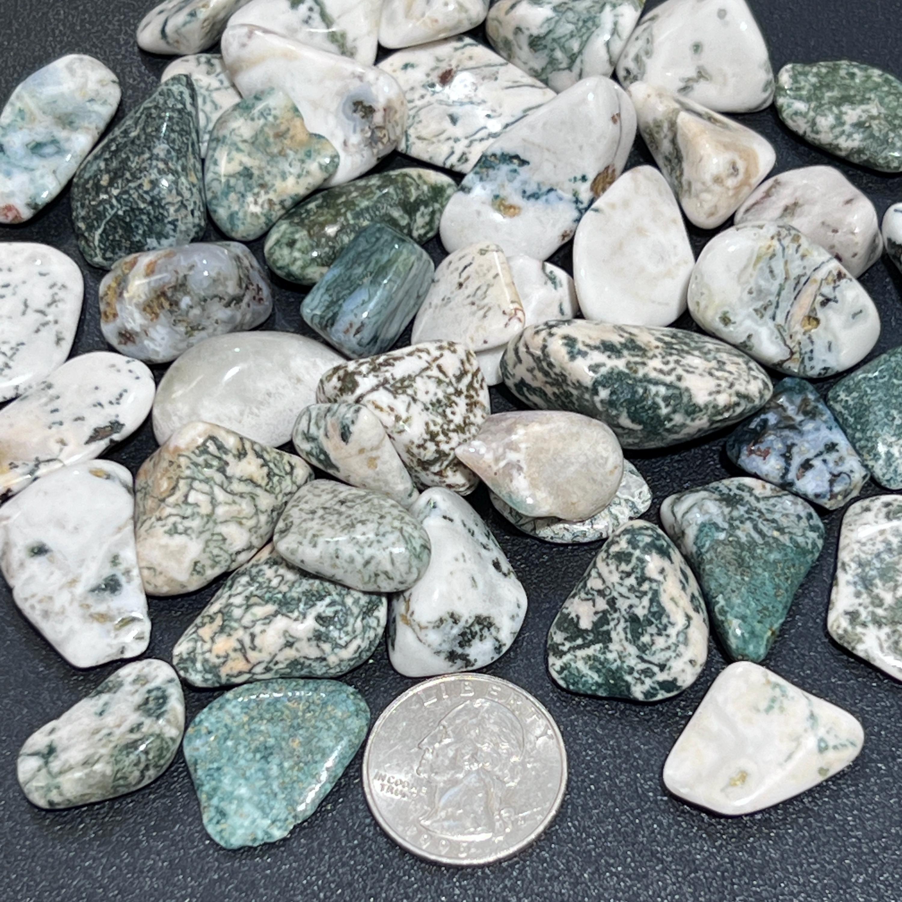 Tree Agate Tumbled Stones