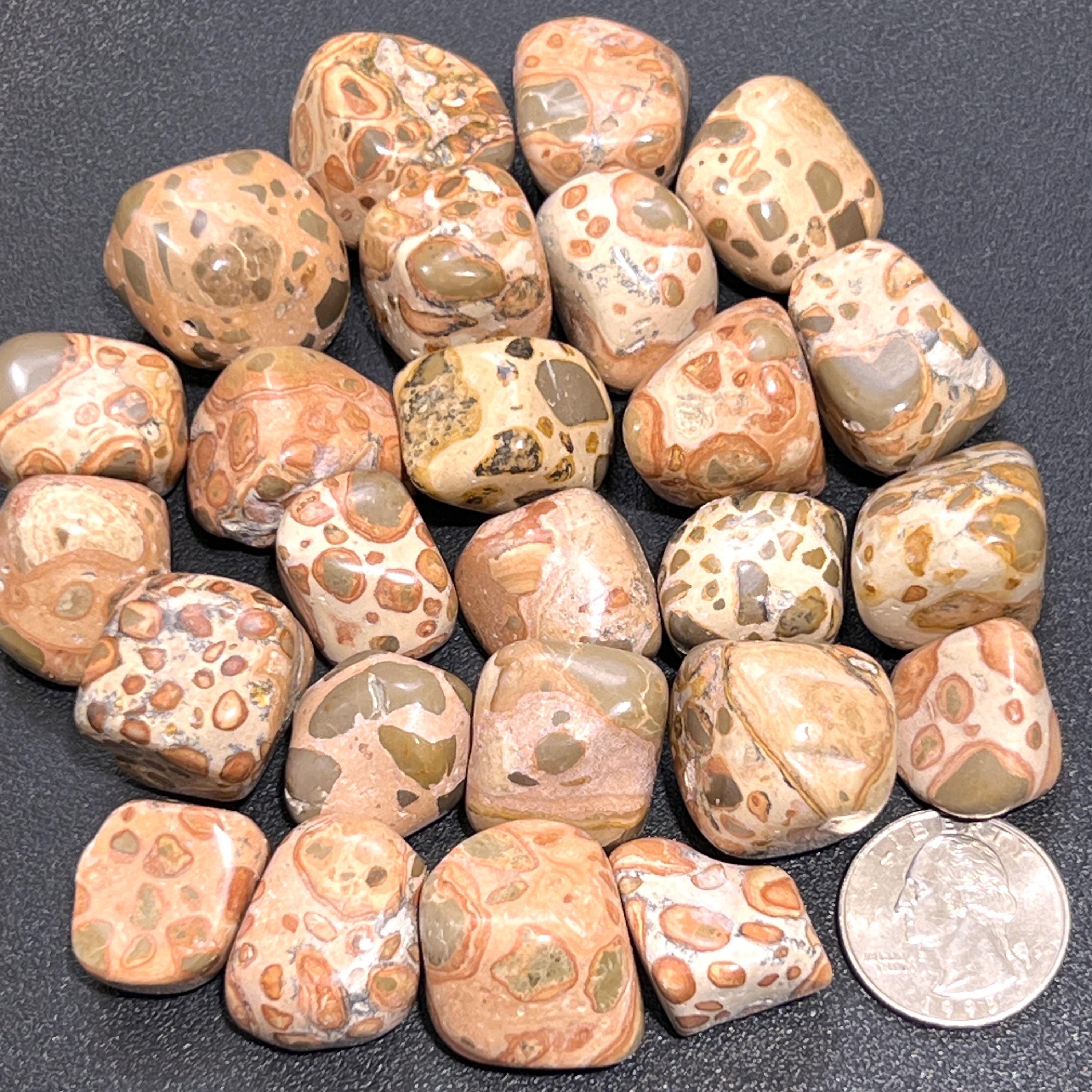 Leopardite (Leopard Jasper) Tumbled Stones