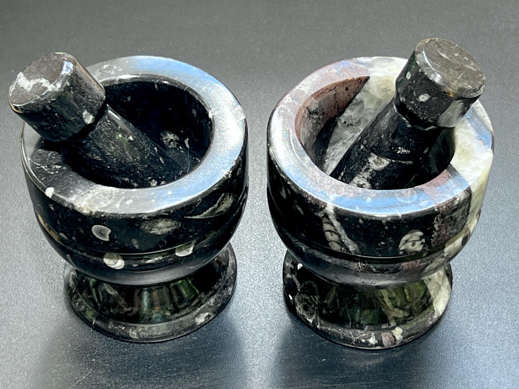 Orthoceras Mortar and Pestle Set