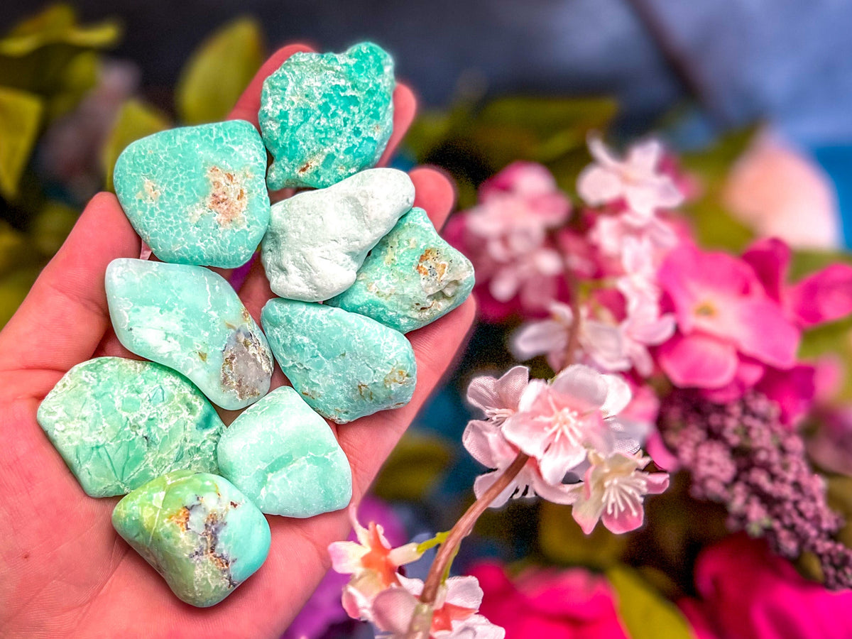 POLISHED CHRYSOPRASE Specimens