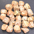 Leopardite (Leopard Jasper) Tumbled Stones