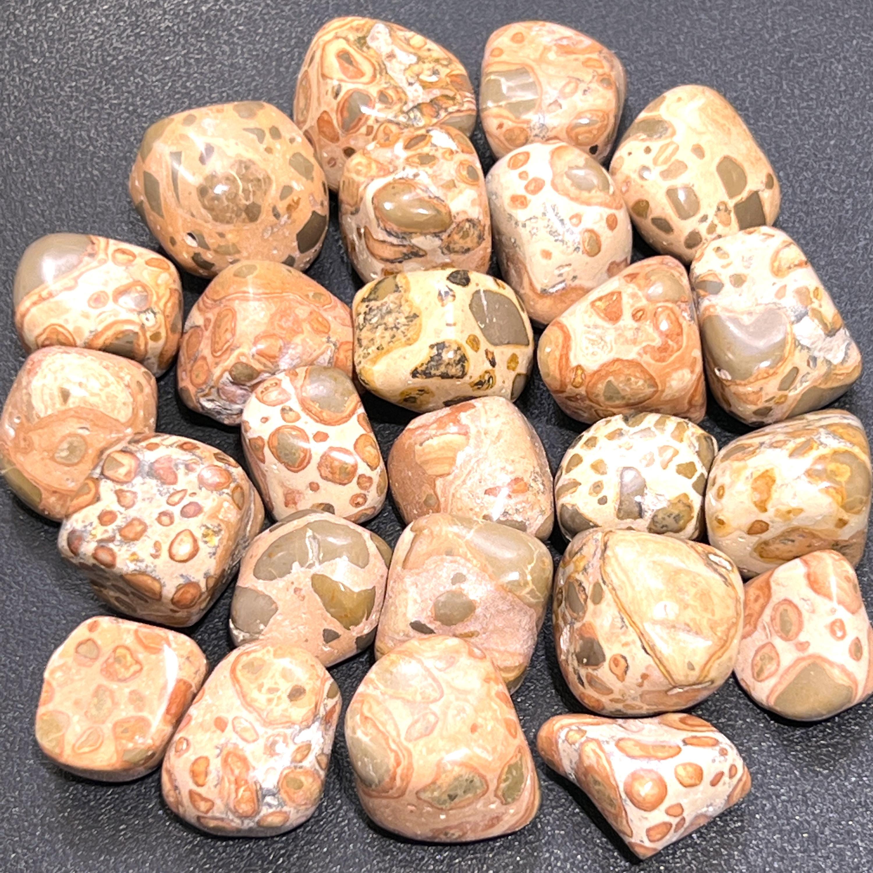 Leopardite (Leopard Jasper) Tumbled Stones