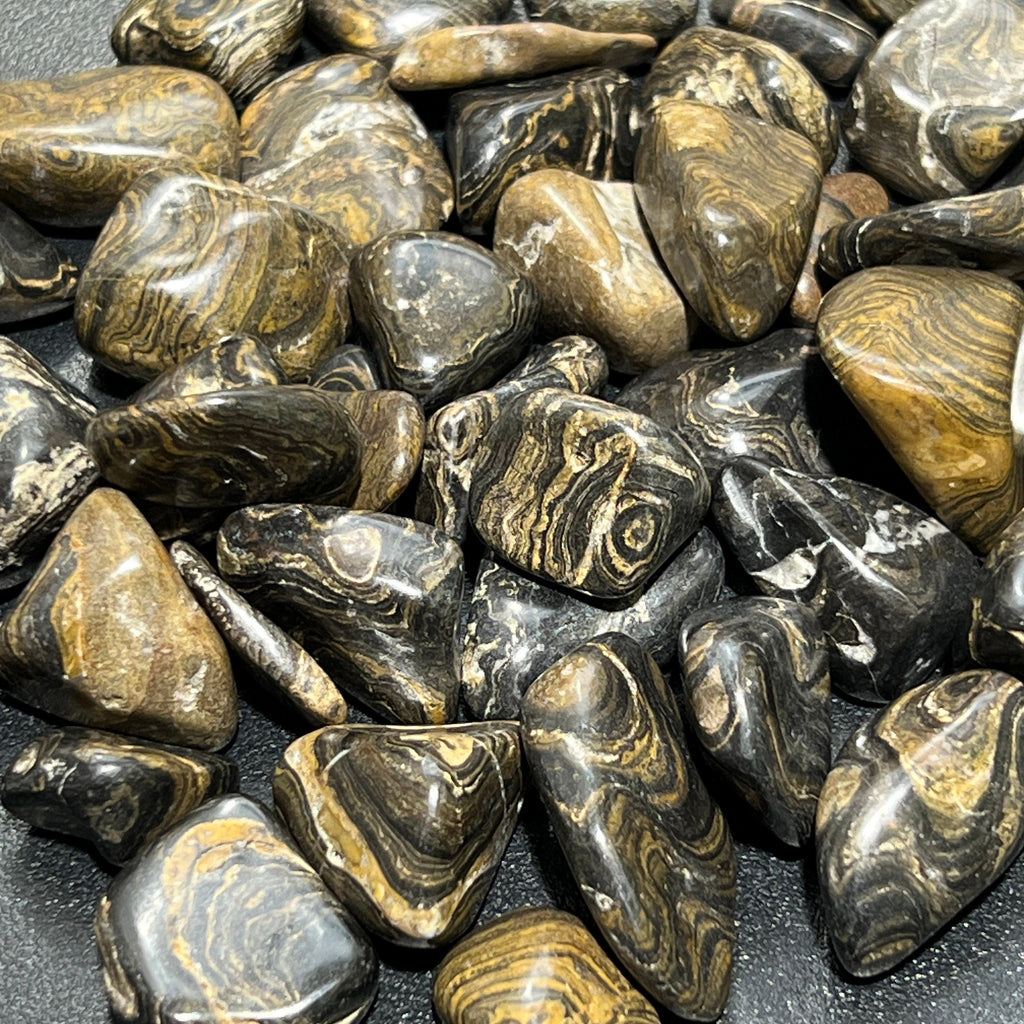 Stromatolite Fossil Tumbled Stones
