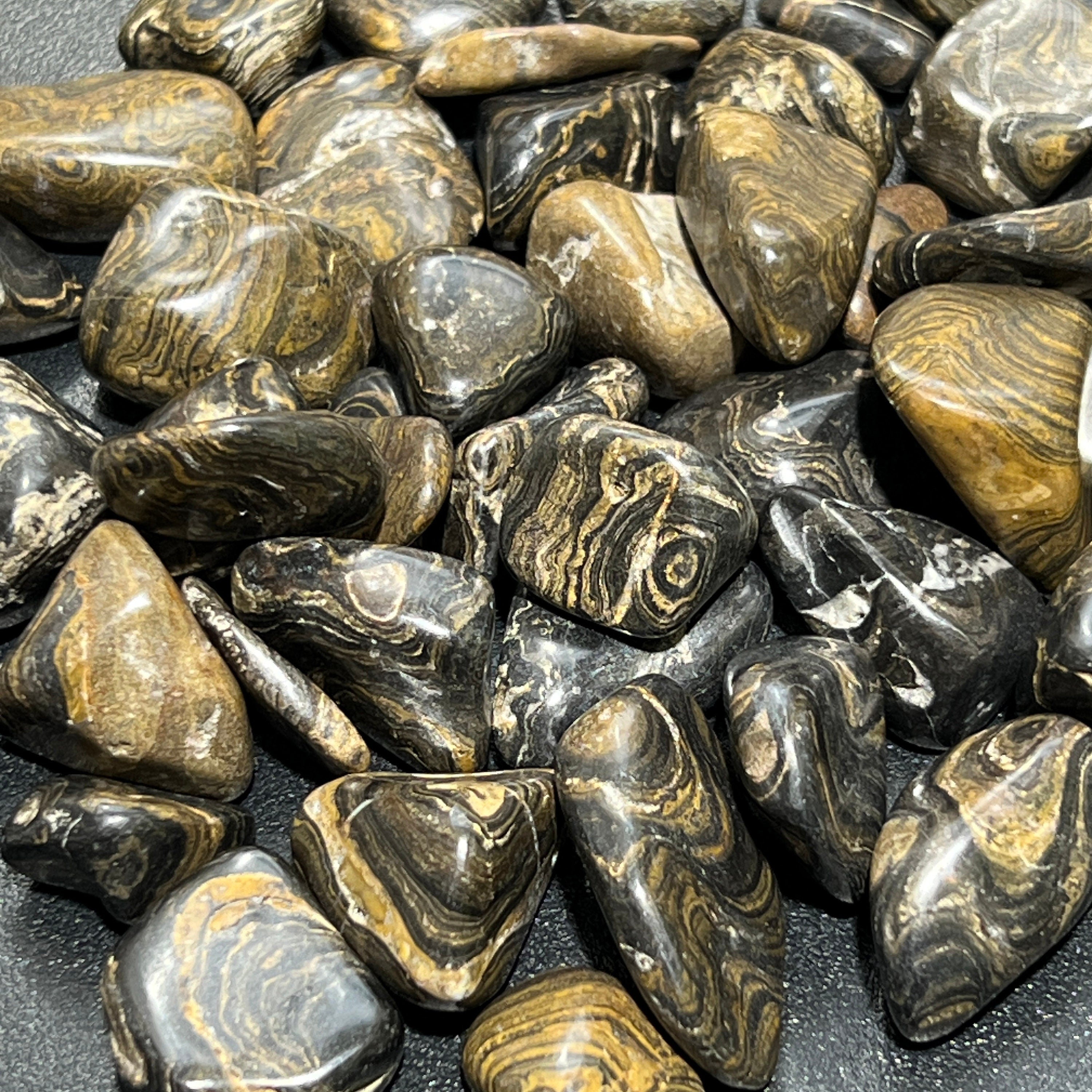 Stromatolite Fossil Tumbled Stones