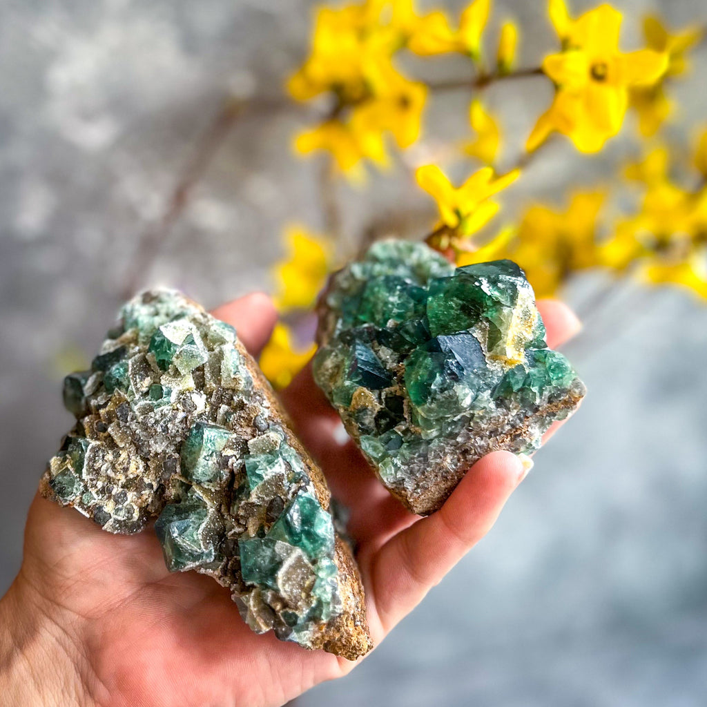 Druzy Dreams Pocket Fluorite Clusters (Color Change) Diana Maria Mine, Fluorescent Fluorite