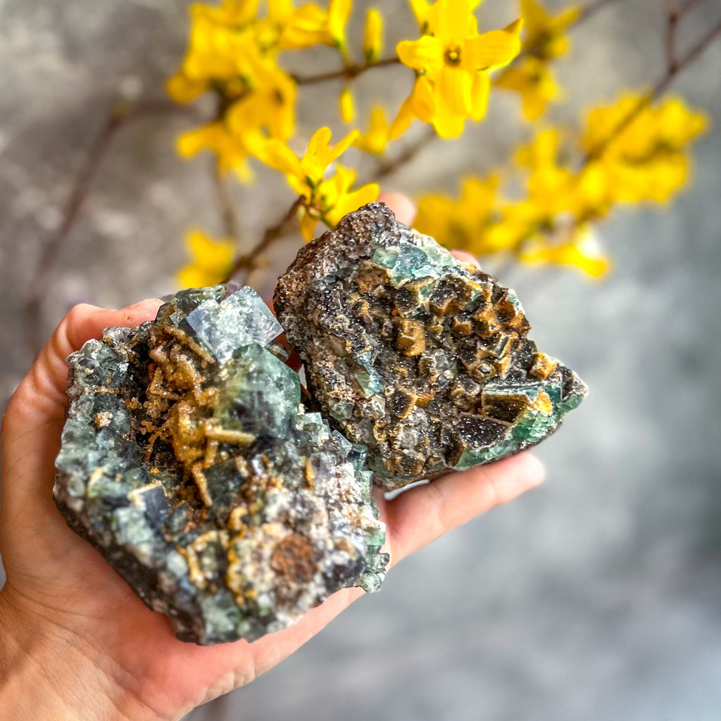Druzy Dreams Pocket Fluorite Clusters (Color Change) Diana Maria Mine, Fluorescent Fluorite